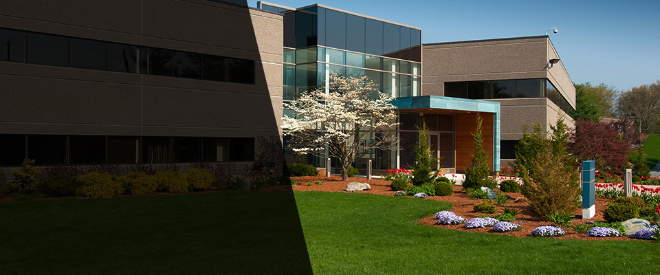 Bonsall Landscapers