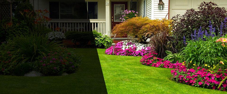 Bonsall Landscapers