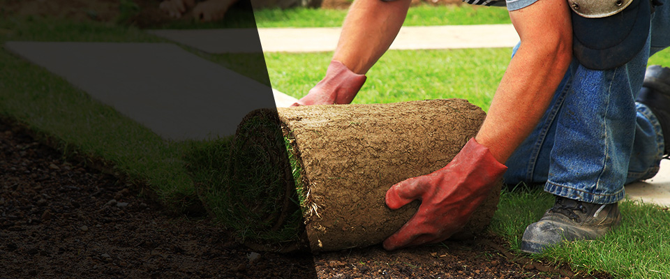 Bonsall Landscapers